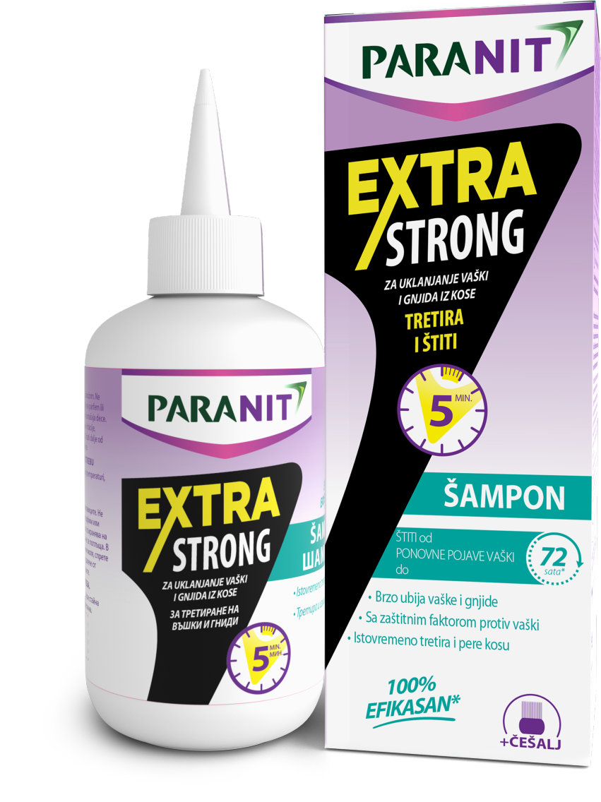Šampon
